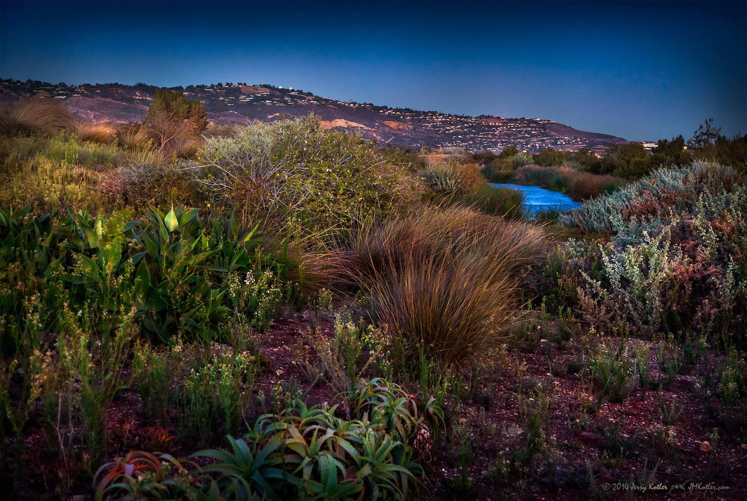 Photo 7 from Palos Verdes Peninsula Land Conservancy